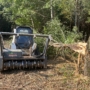 Forestry/Land Clearing